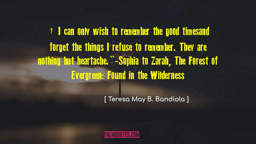 Teresa May B. Bandiola Quotes: … I can only wish