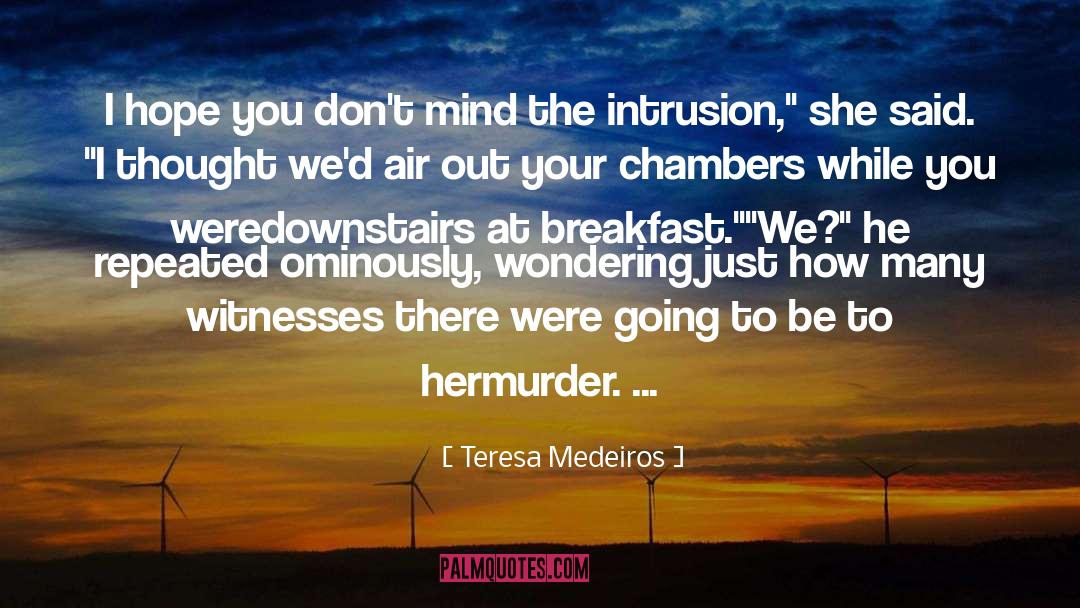 Teresa Medeiros Quotes: I hope you don't mind