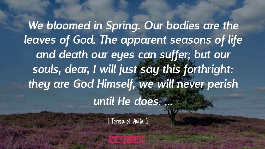 Teresa Of Avila Quotes: We bloomed in Spring. Our