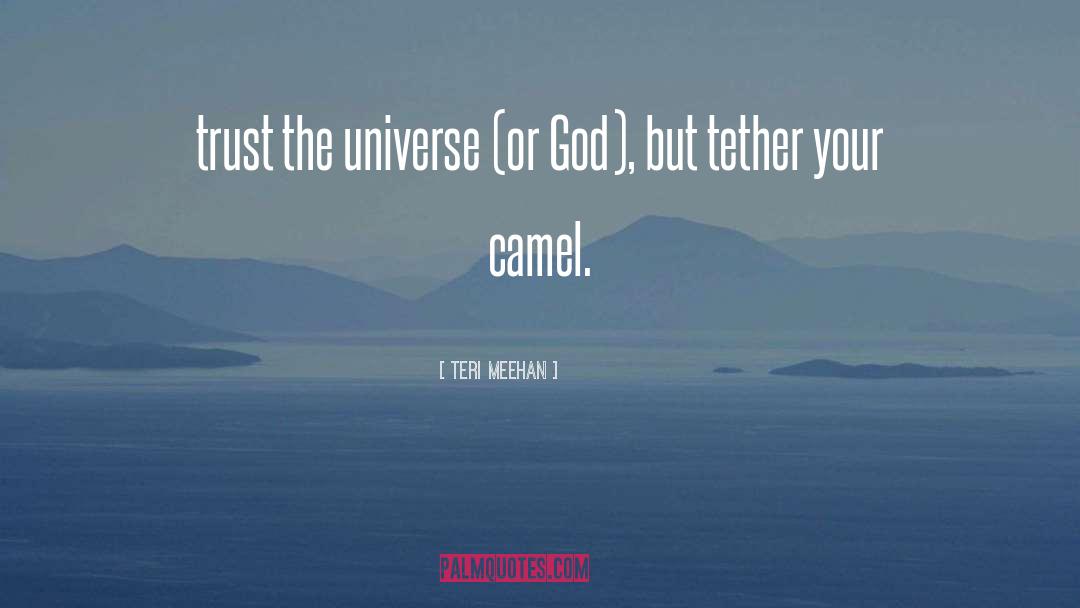 Teri Meehan Quotes: trust the universe (or God),