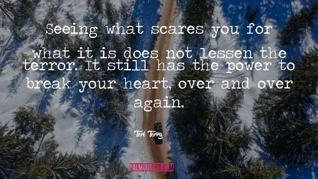 Teri Terry Quotes: Seeing what scares you for