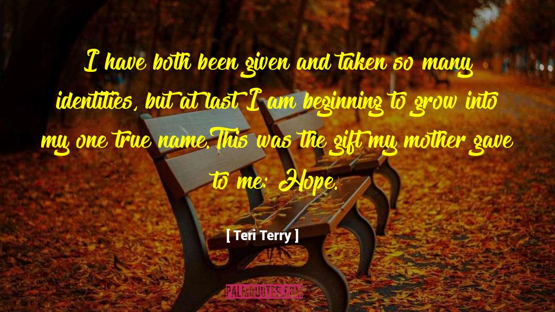 Teri Terry Quotes: I have both been given