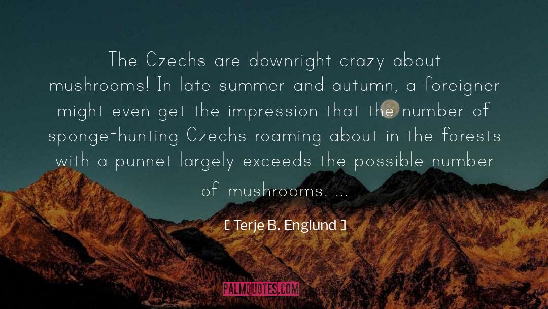 Terje B. Englund Quotes: The Czechs are downright crazy