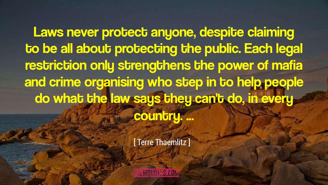 Terre Thaemlitz Quotes: Laws never protect anyone, despite