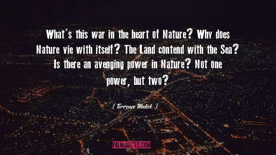 Terrence Malick Quotes: What's this war in the