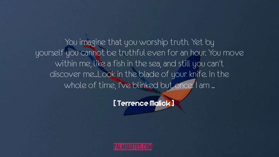Terrence Malick Quotes: You imagine that you worship