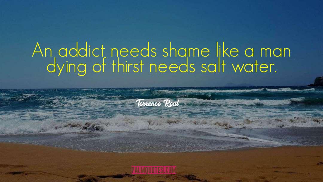 Terrence Real Quotes: An addict needs shame like