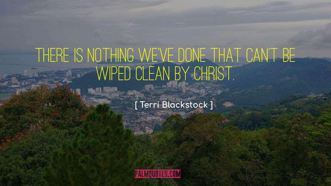 Terri Blackstock Quotes: There is nothing we've done