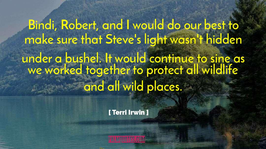 Terri Irwin Quotes: Bindi, Robert, and I would