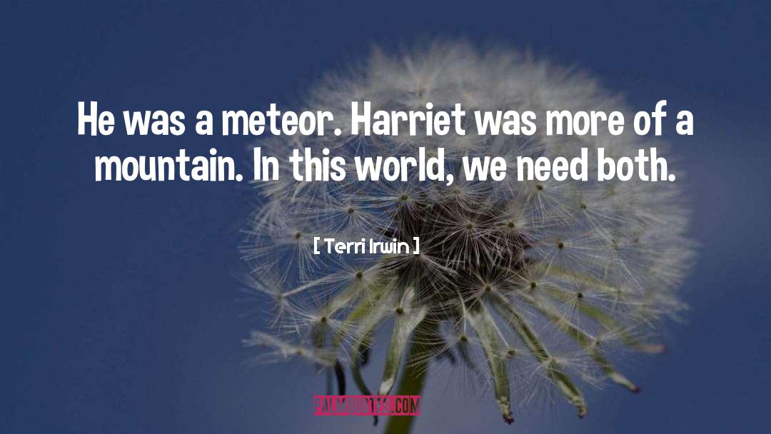 Terri Irwin Quotes: He was a meteor. Harriet