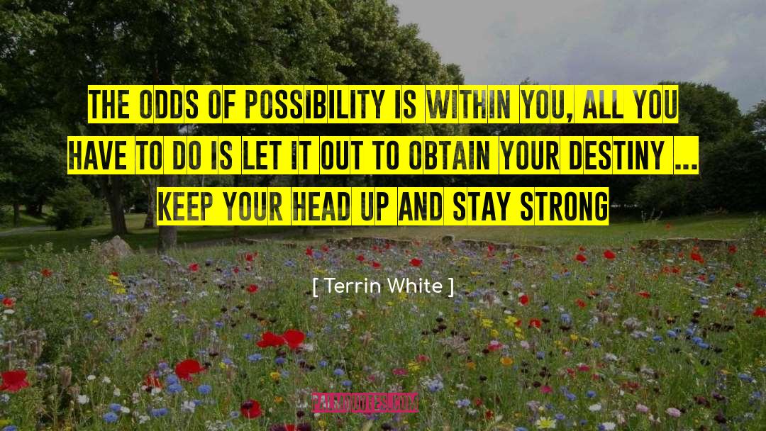 Terrin White Quotes: The Odds Of Possibility Is