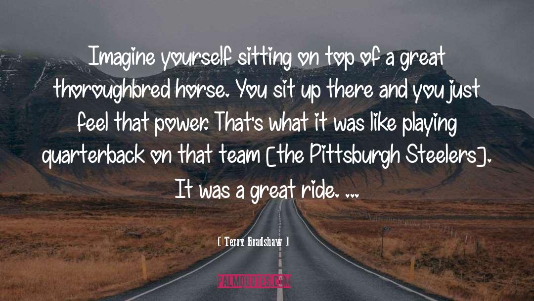 Terry Bradshaw Quotes: Imagine yourself sitting on top