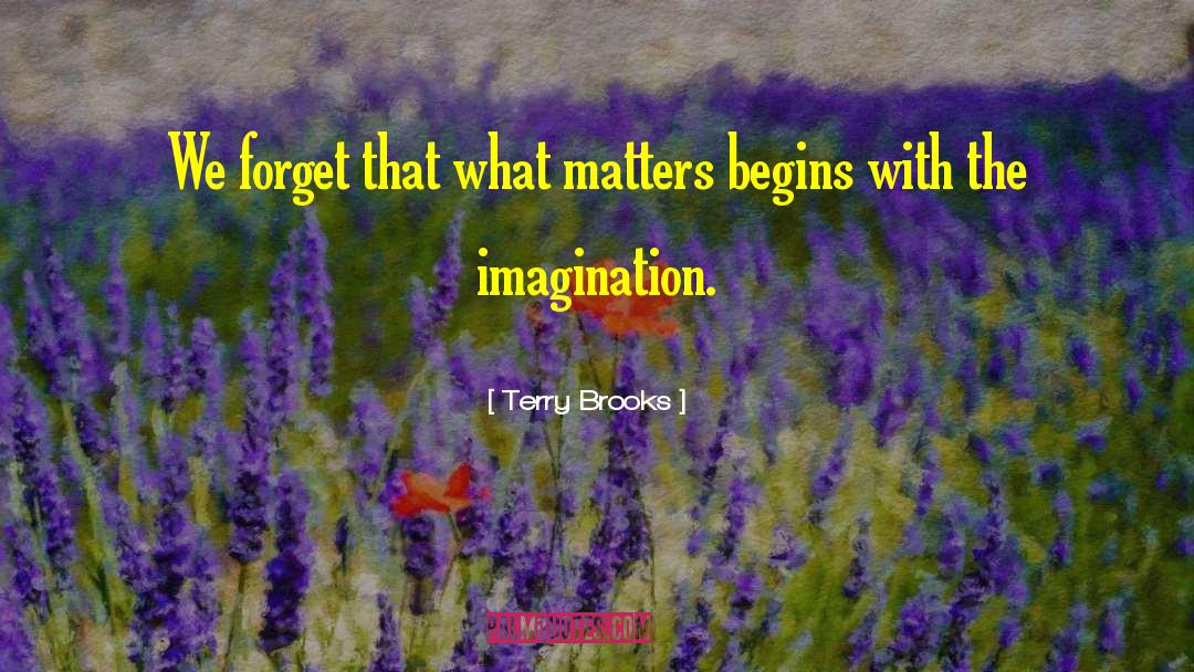 Terry Brooks Quotes: We forget that what matters