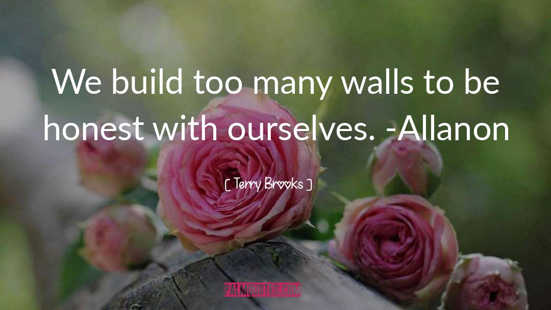 Terry Brooks Quotes: We build too many walls