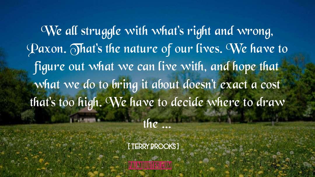 Terry Brooks Quotes: We all struggle with what's