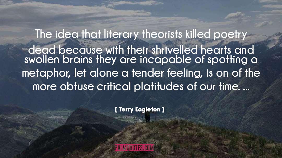Terry Eagleton Quotes: The idea that literary theorists