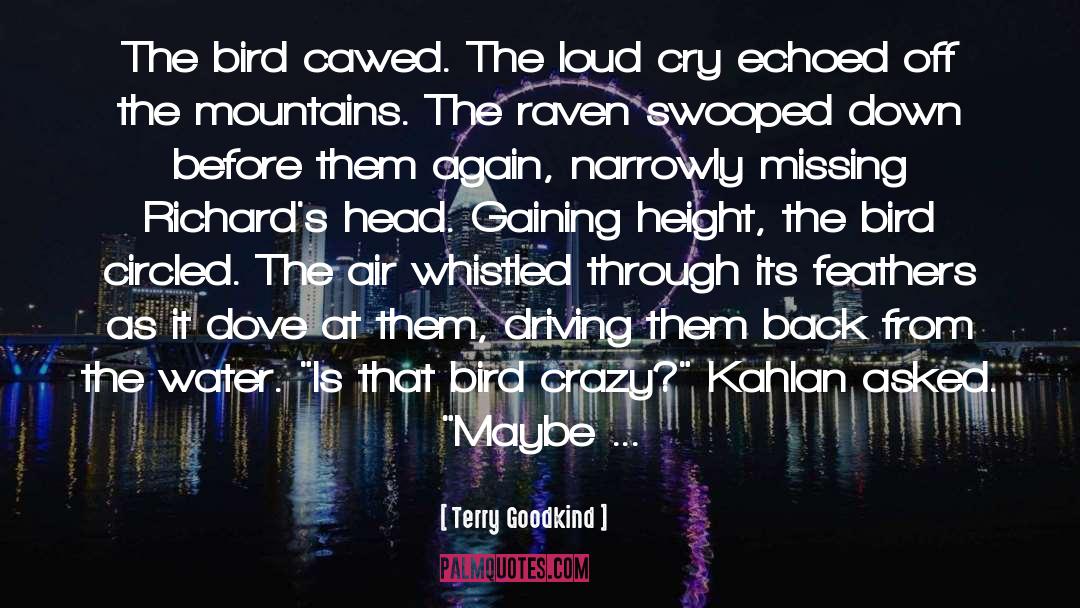 Terry Goodkind Quotes: The bird cawed. The loud