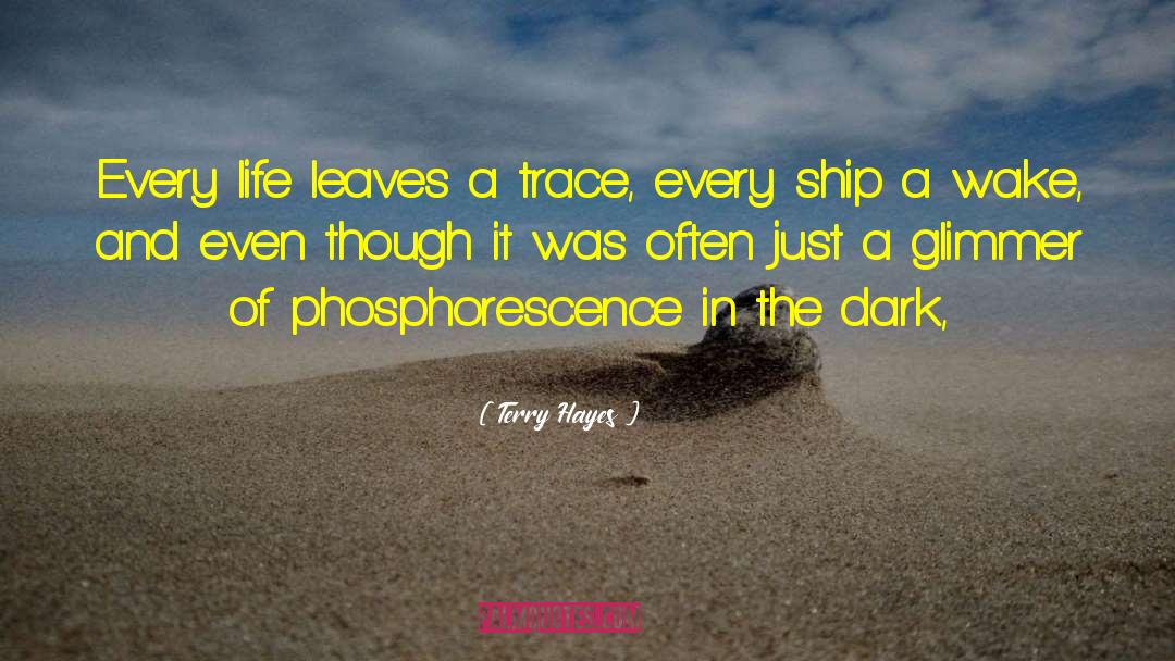 Terry Hayes Quotes: Every life leaves a trace,