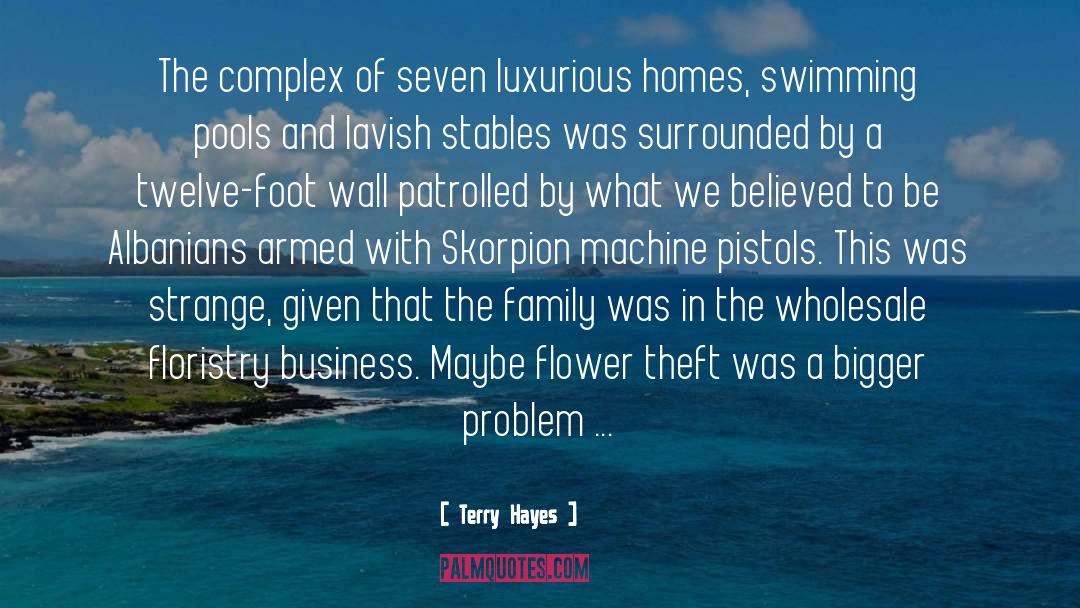 Terry Hayes Quotes: The complex of seven luxurious