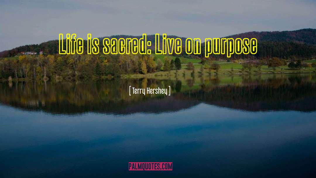 Terry Hershey Quotes: Life is sacred: Live on