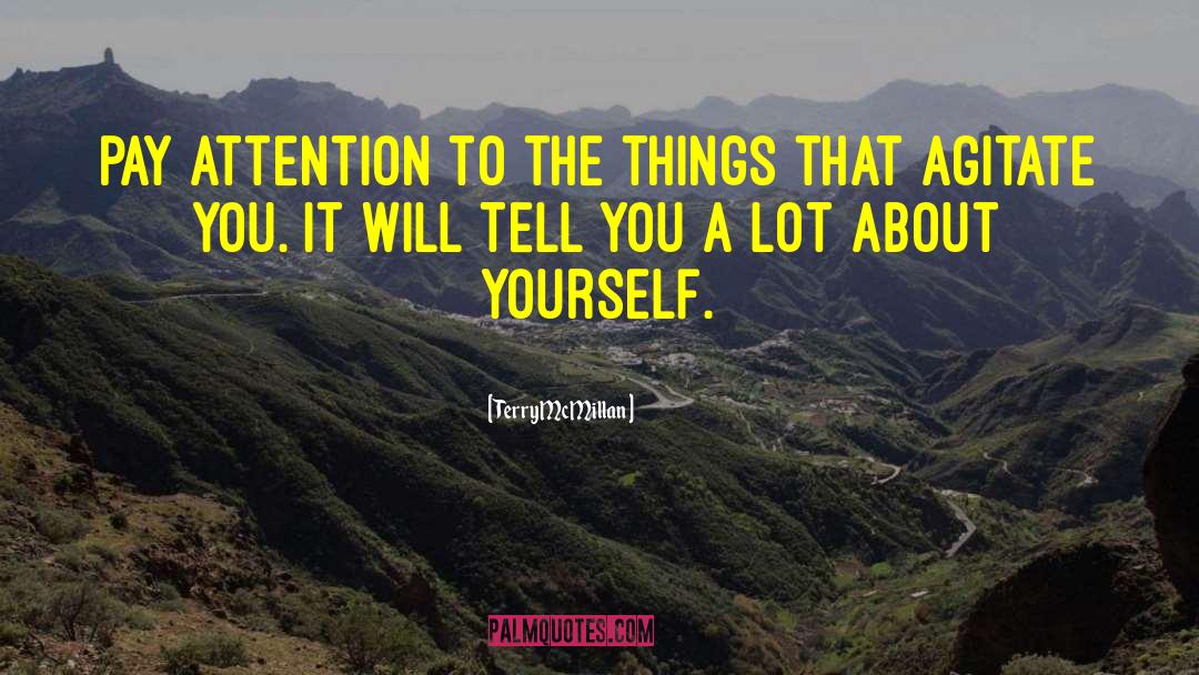 Terry McMillan Quotes: Pay attention to the things