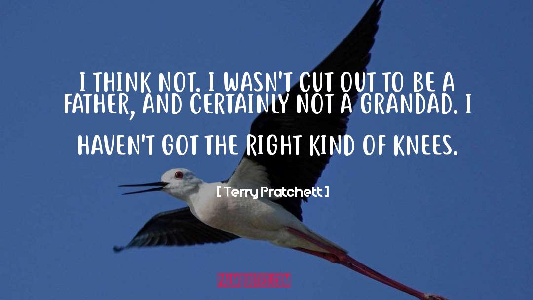 Terry Pratchett Quotes: I THINK NOT. I WASN'T