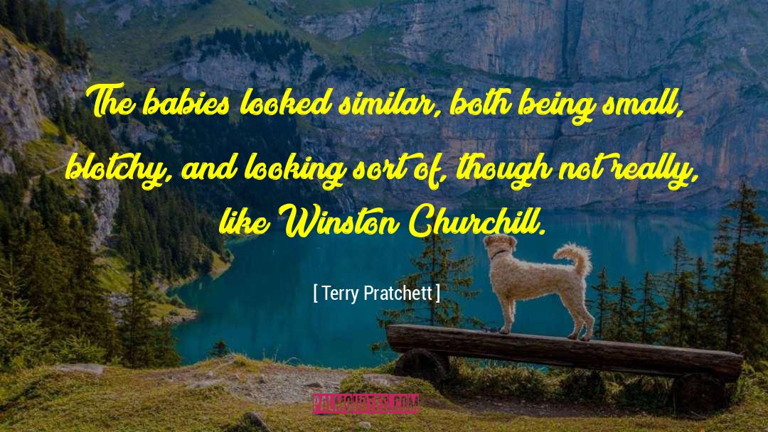 Terry Pratchett Quotes: The babies looked similar, both