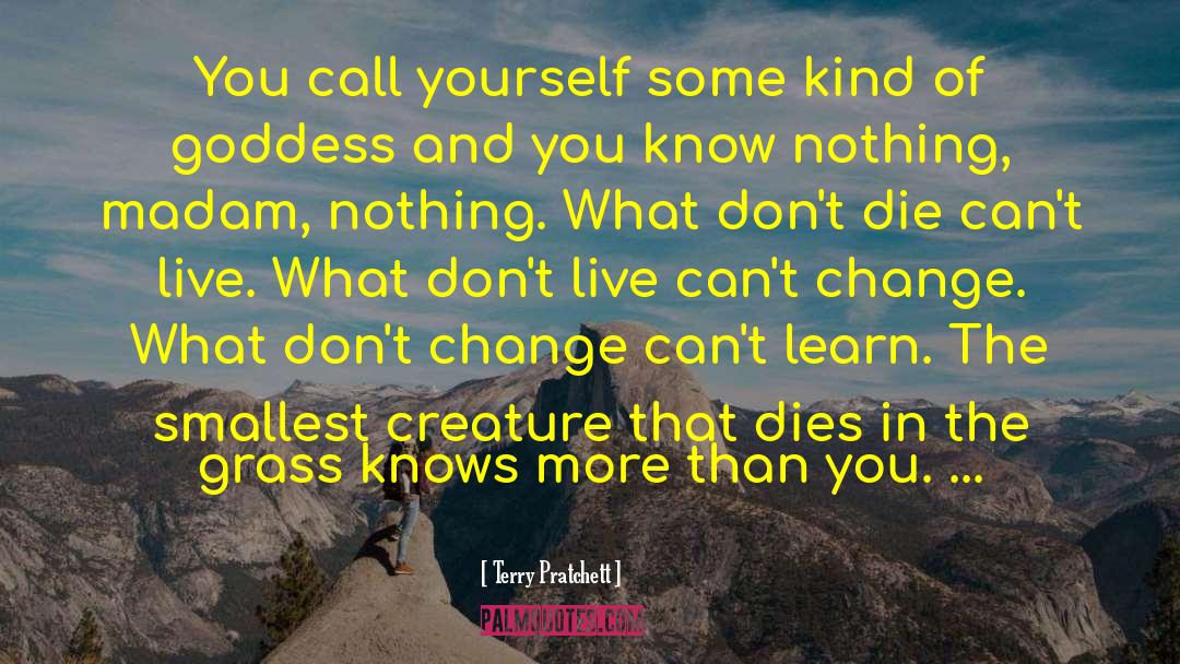 Terry Pratchett Quotes: You call yourself some kind