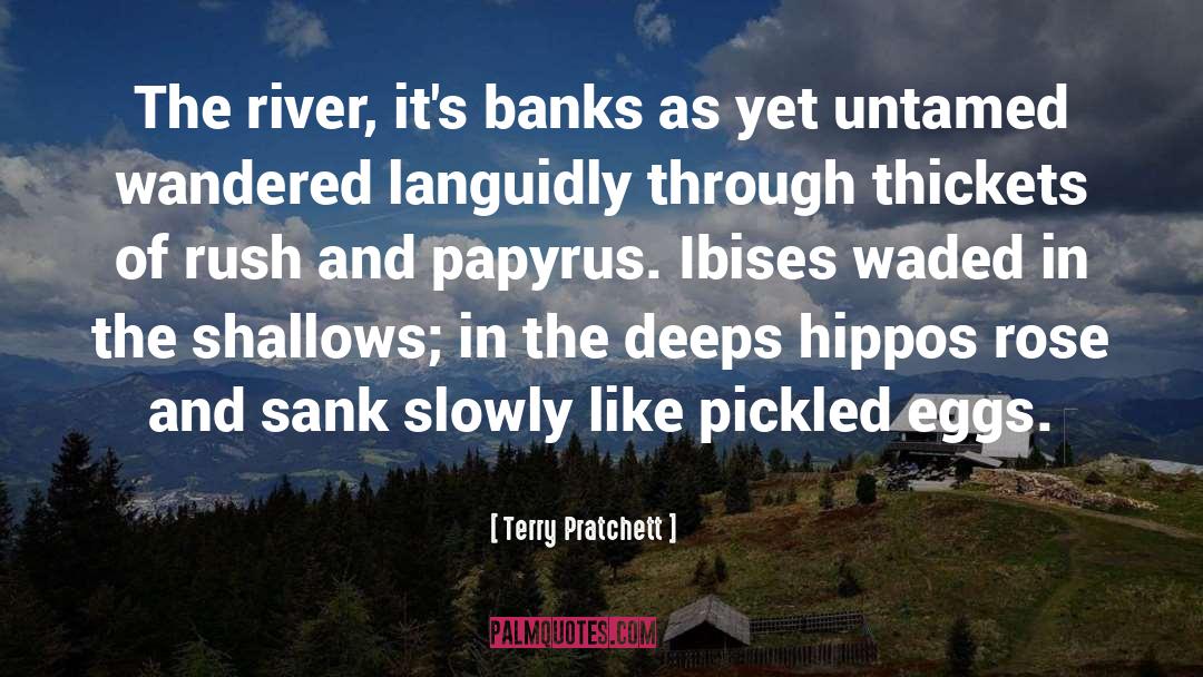 Terry Pratchett Quotes: The river, it's banks as