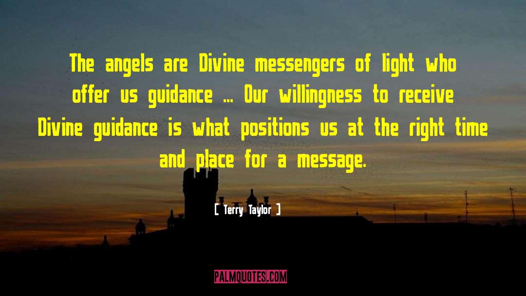 Terry Taylor Quotes: The angels are Divine messengers