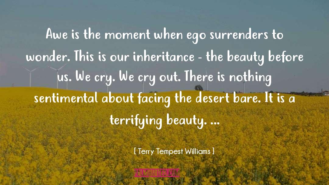 Terry Tempest Williams Quotes: Awe is the moment when