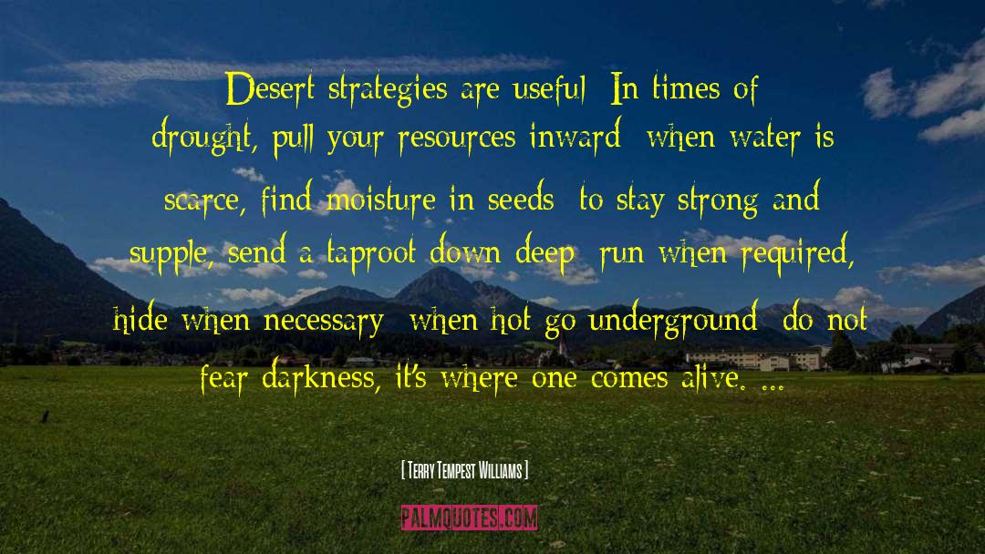 Terry Tempest Williams Quotes: Desert strategies are useful: In