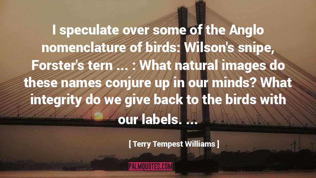 Terry Tempest Williams Quotes: I speculate over some of