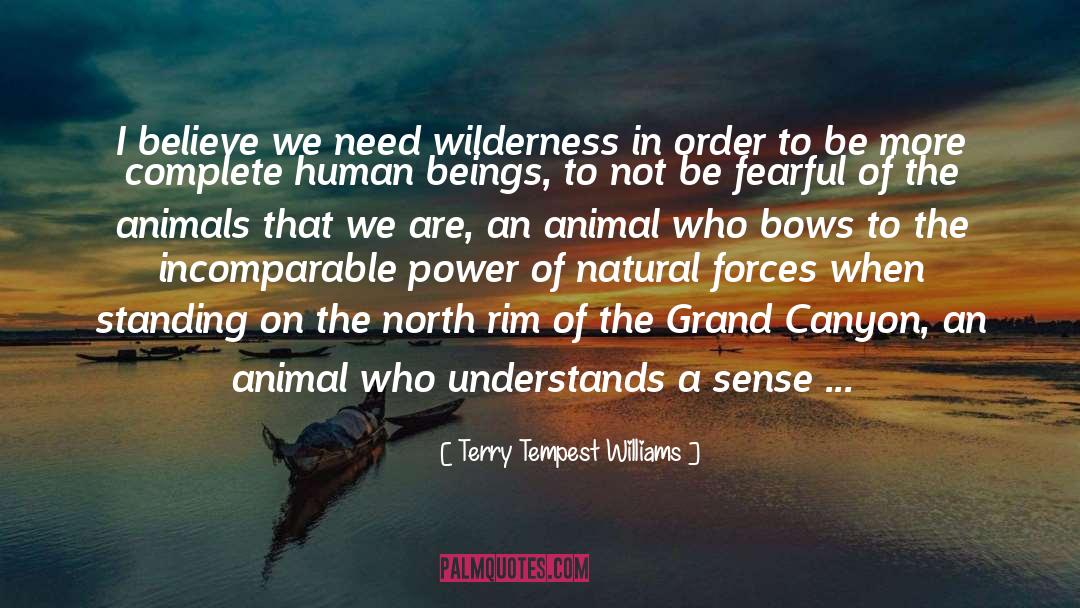 Terry Tempest Williams Quotes: I believe we need wilderness