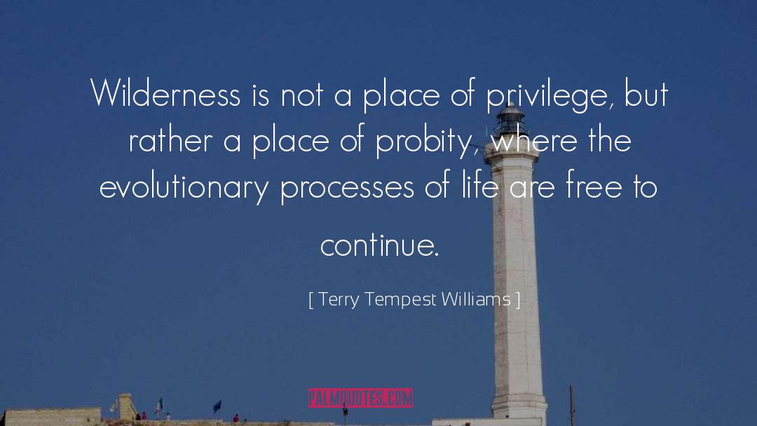 Terry Tempest Williams Quotes: Wilderness is not a place