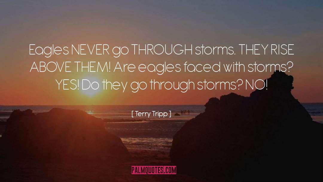 Terry Tripp Quotes: Eagles NEVER go THROUGH storms.