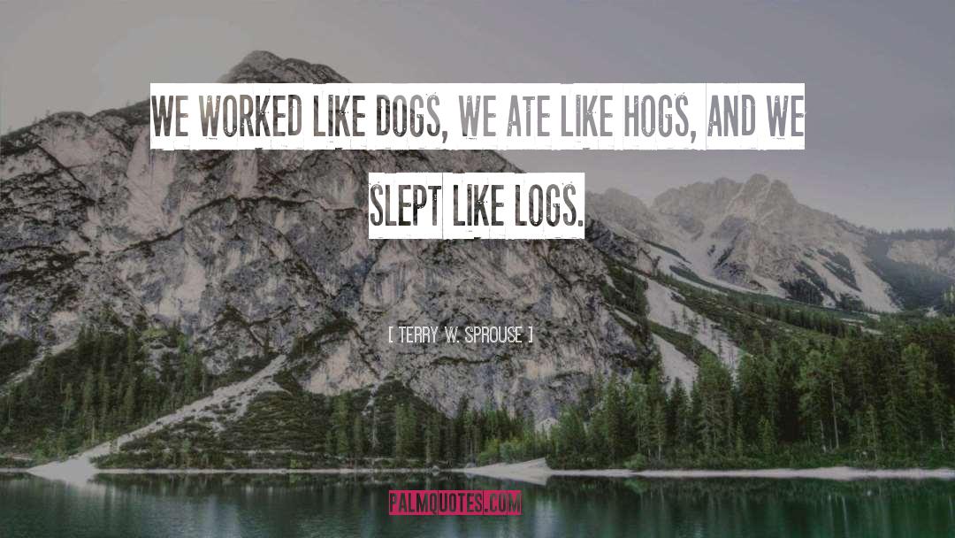 Terry W. Sprouse Quotes: We worked like dogs, we