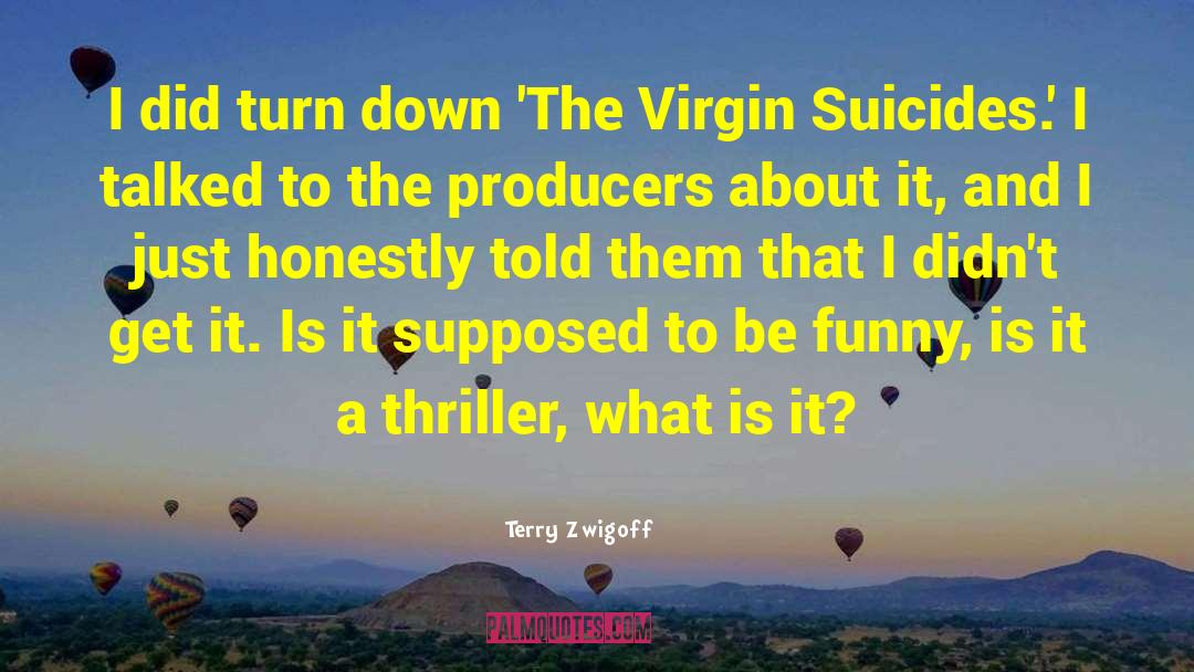 Terry Zwigoff Quotes: I did turn down 'The