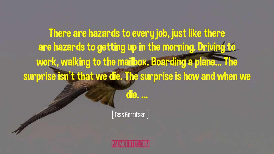 Tess Gerritsen Quotes: There are hazards to every