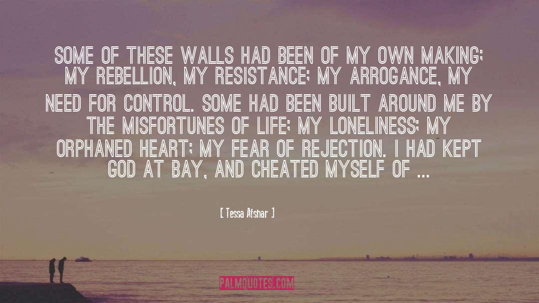 Tessa Afshar Quotes: Some of these walls had