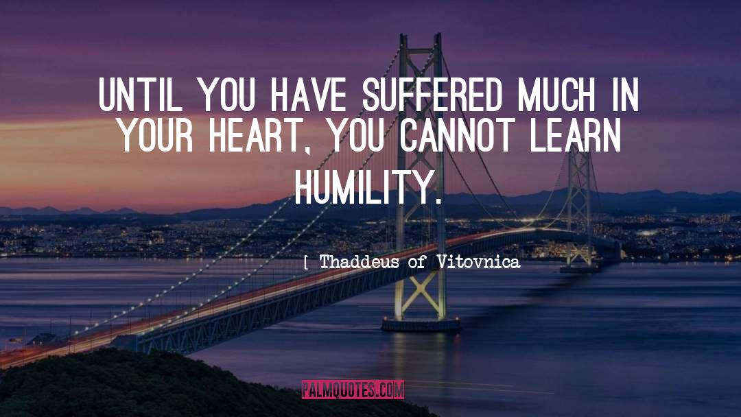 Thaddeus Of Vitovnica Quotes: Until you have suffered much