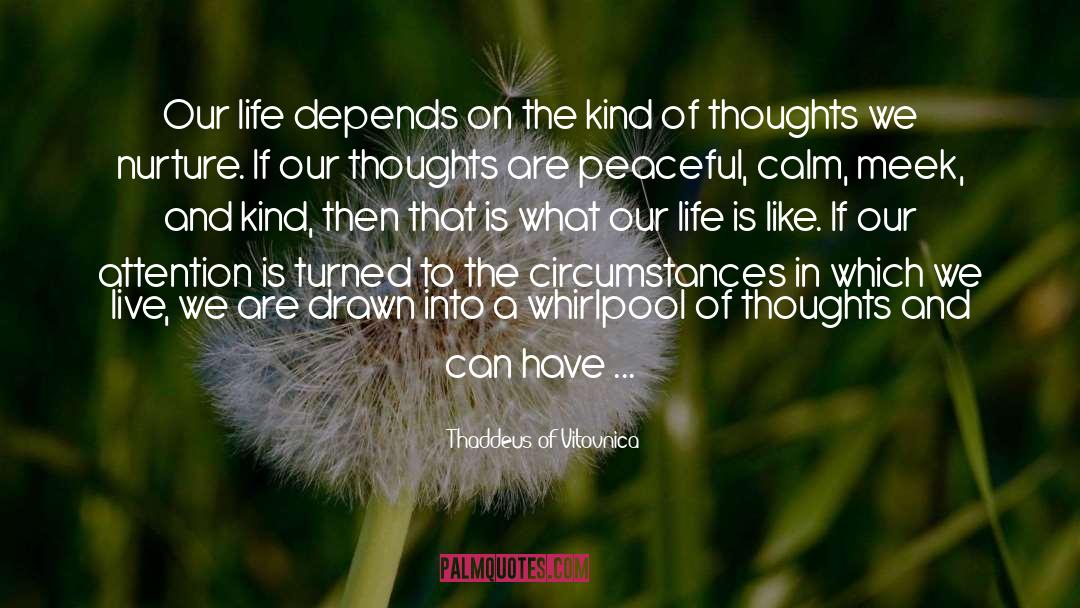 Thaddeus Of Vitovnica Quotes: Our life depends on the