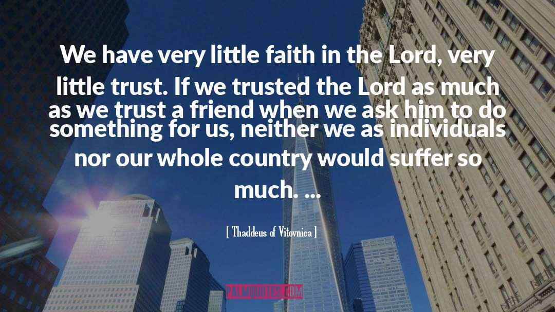 Thaddeus Of Vitovnica Quotes: We have very little faith