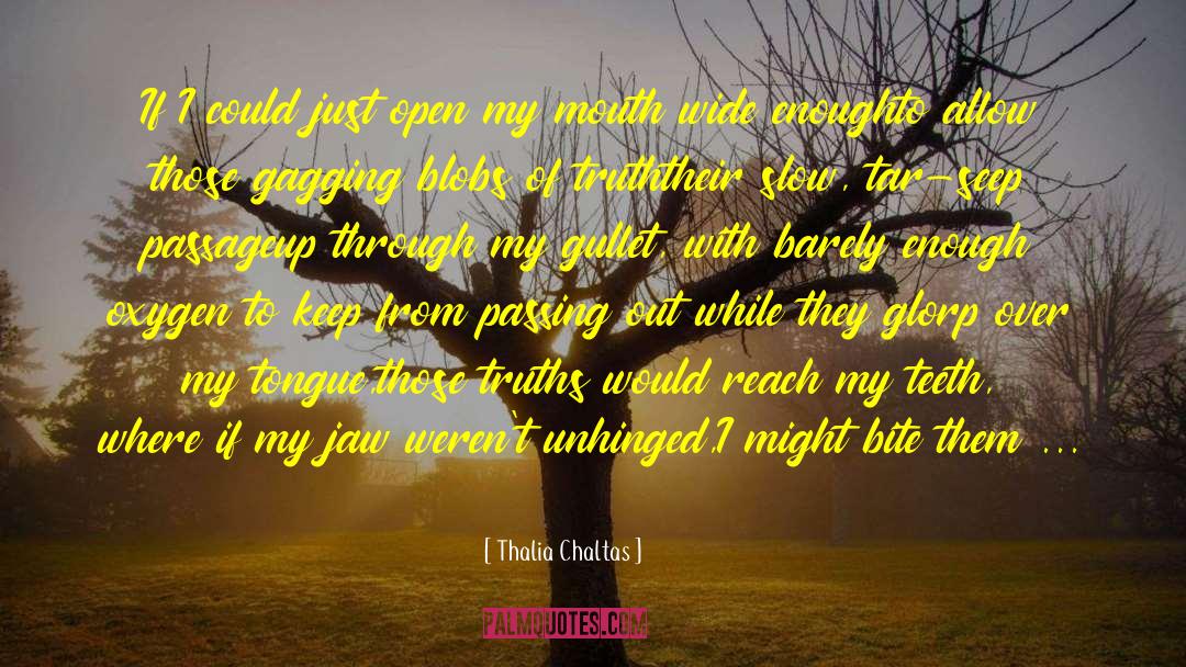 Thalia Chaltas Quotes: If I could just open