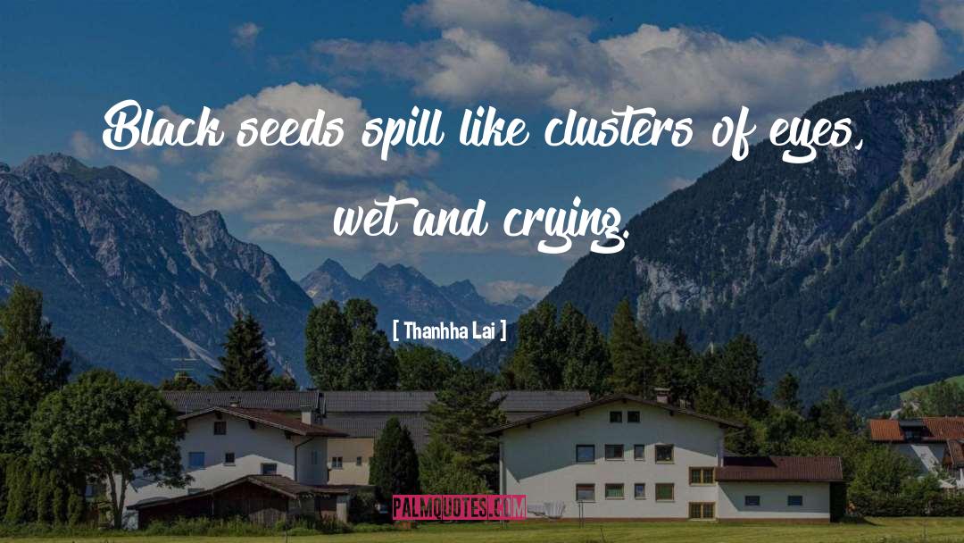 Thanhha Lai Quotes: Black seeds spill like clusters