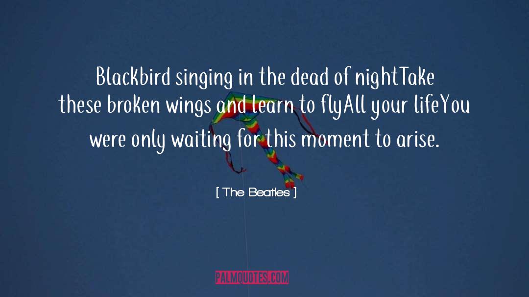 The Beatles Quotes: Blackbird singing in the dead