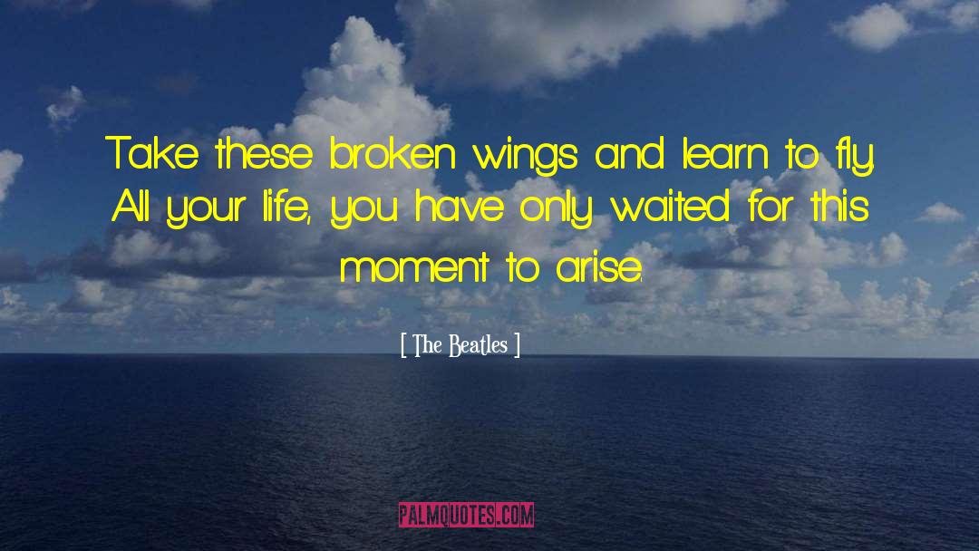 The Beatles Quotes: Take these broken wings and