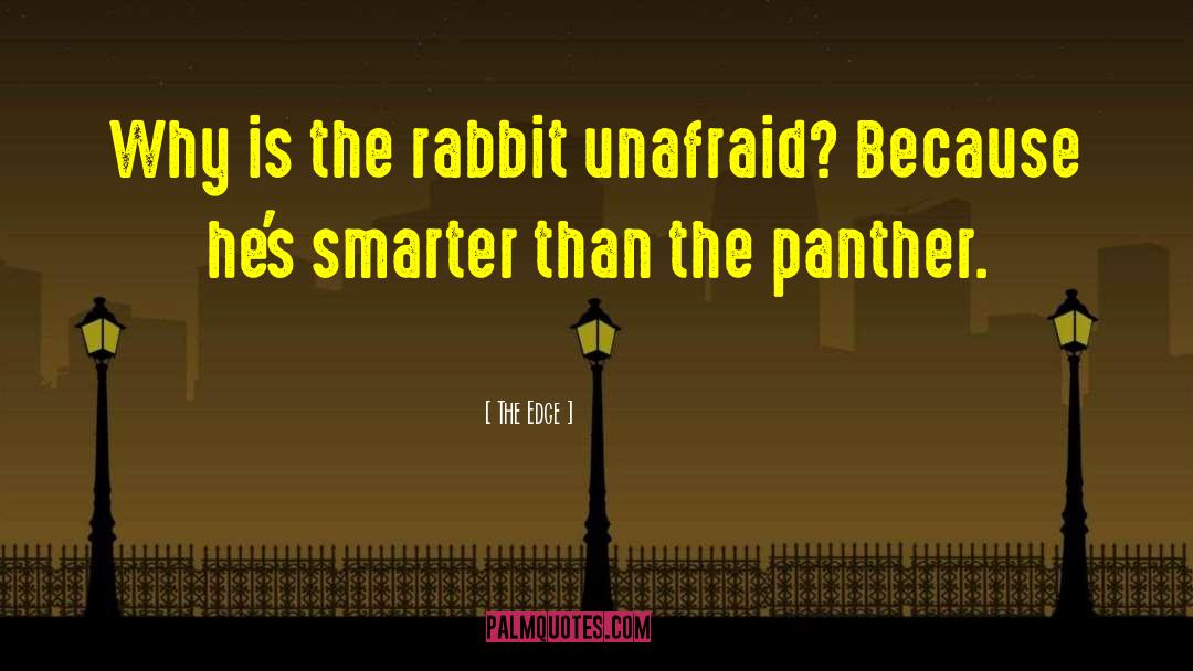 The Edge Quotes: Why is the rabbit unafraid?