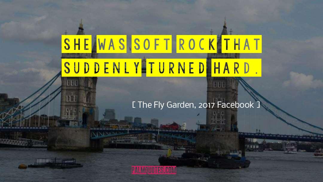 The Fly Garden, 2017 Facebook Quotes: She was soft rock that