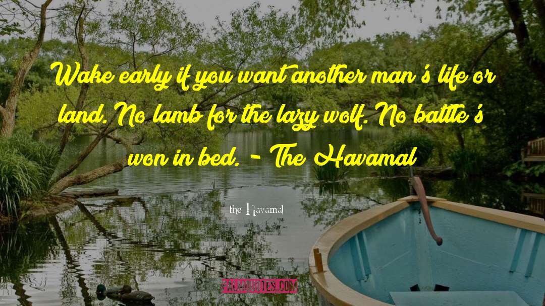 The Havamal Quotes: Wake early if you want